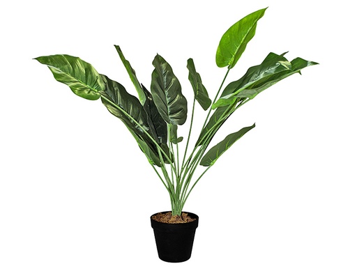 [MCH.PLT.0152] PLANTA ARTIFICIAL TELÉFONO VERDE (60cm)