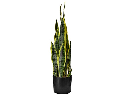 [MCH.PLT.0008] PLANTA ORQUÍDEA TIGRE (80cm)