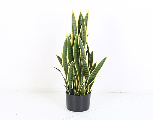 [MCH.PLT.0009] PLANTA ORQUÍDEA TIGRE (75cm)